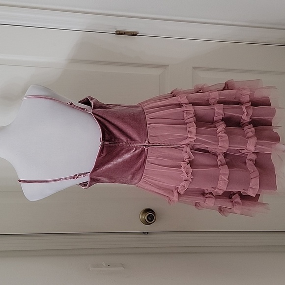 Trixxi Pink Velvet and Tulle Mini Dress - Picture 5 of 14